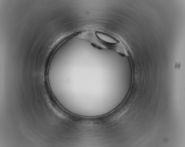 X0000096980530200802291148