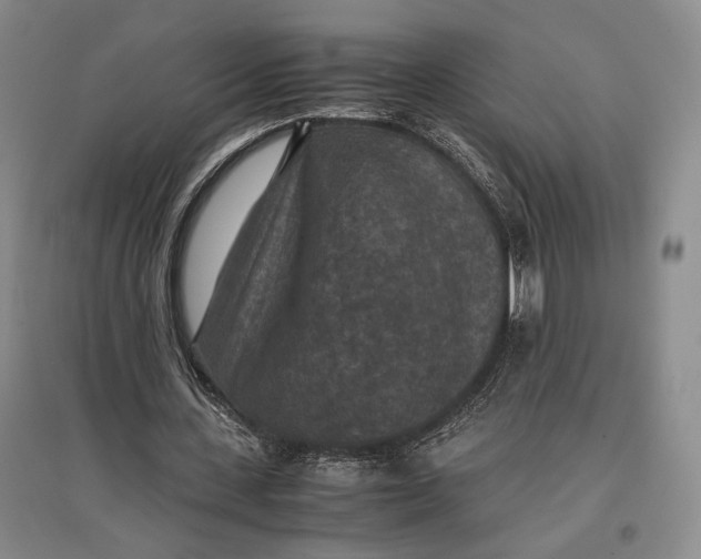 X0000096980531200802291148