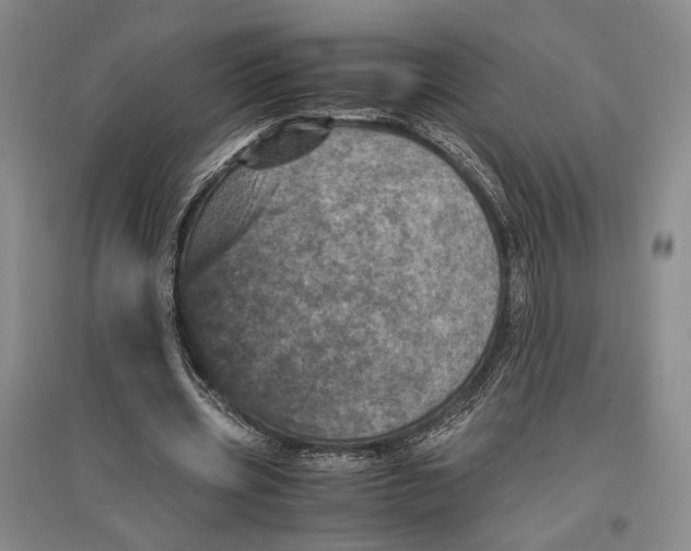 X0000096980533200802291148