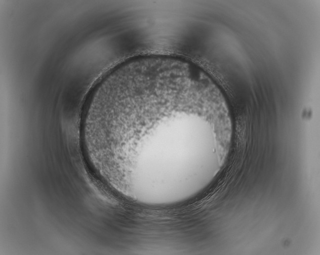 X0000096980534200802291148