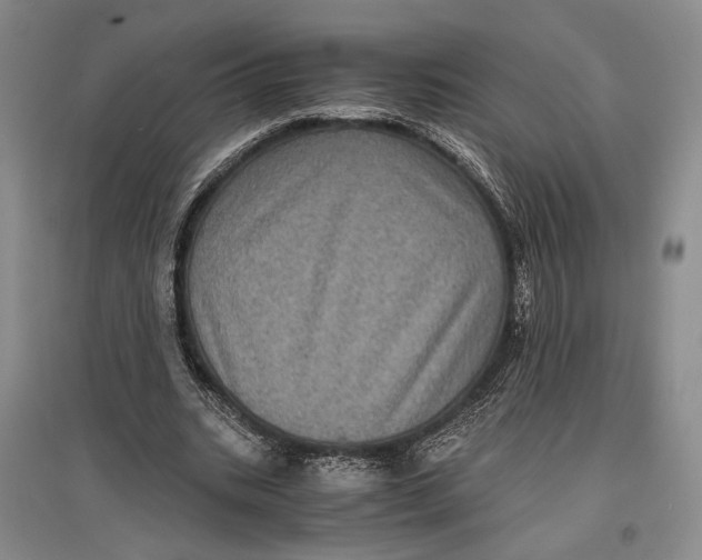 X0000096980535200802291148