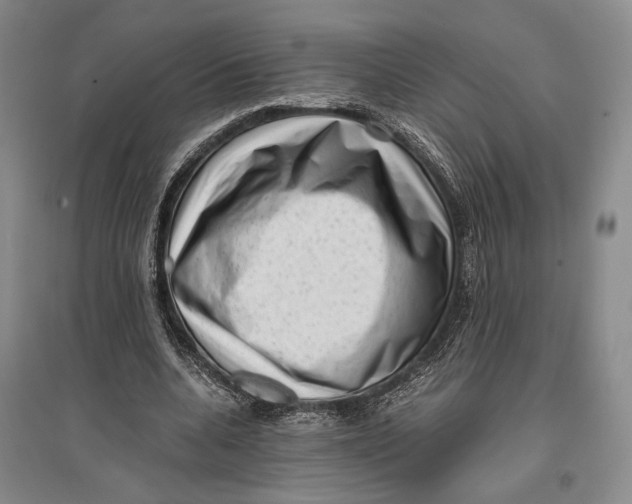 X0000096980536200802291148