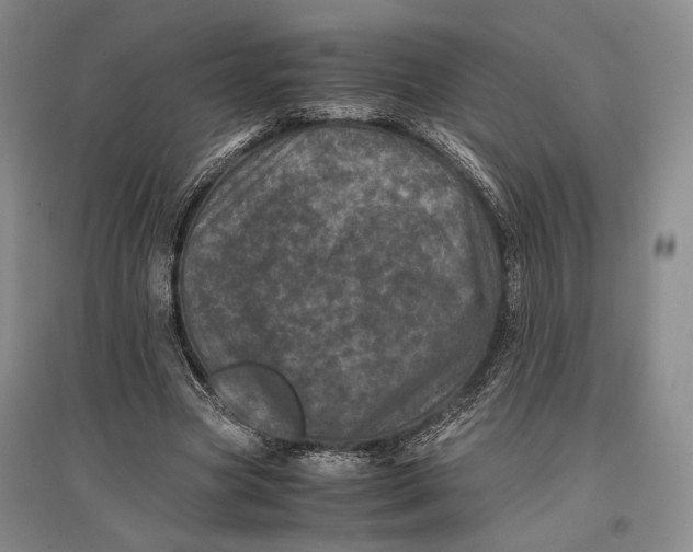 X0000096980537200802291148