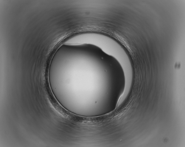 X0000096980538200802291148