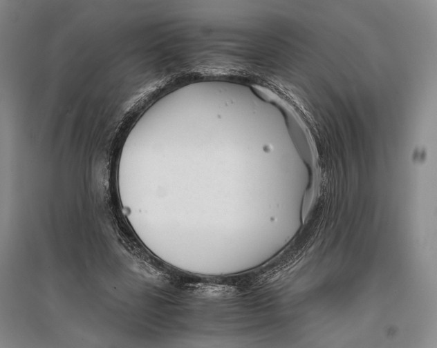 X0000096980539200802291148