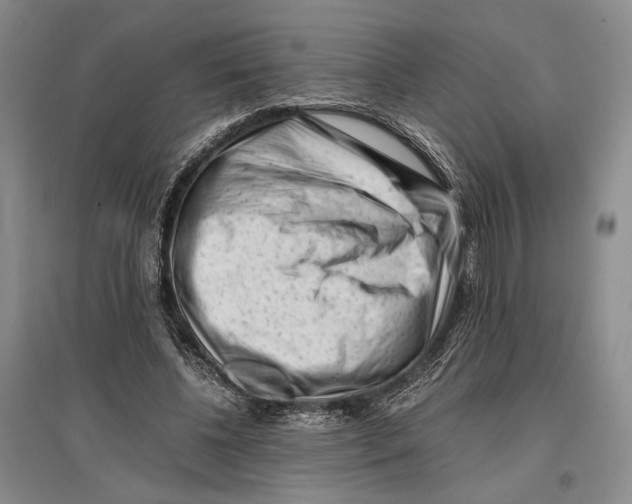 X0000096980540200802291148