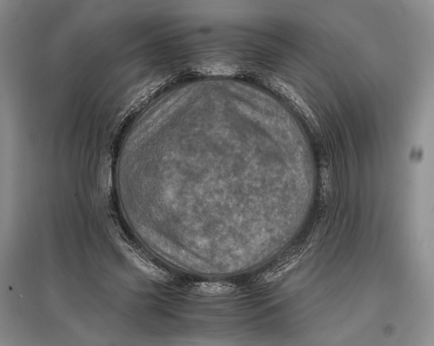 X0000096980541200802291148