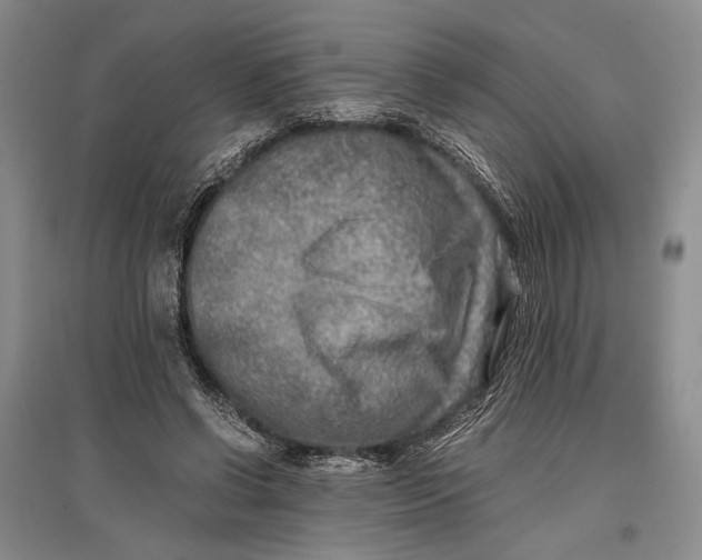 X0000096980542200802291148