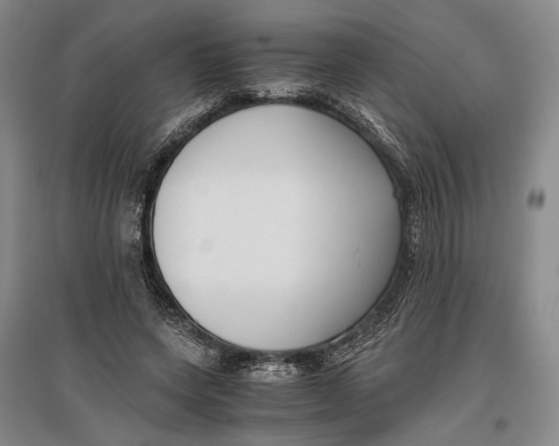 X0000096980543200802291148