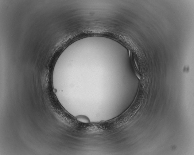 X0000096980544200802291148