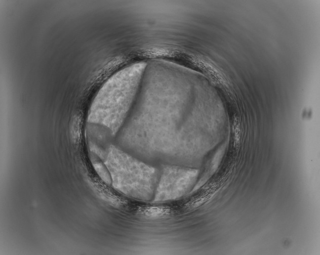 X0000096980546200802291148