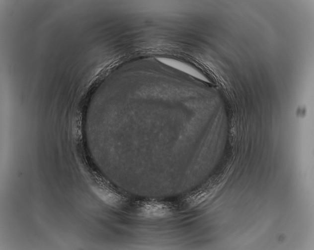 X0000096980547200802291148