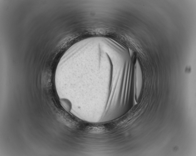 X0000096980548200802291148