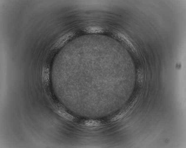 X0000096980549200802291148