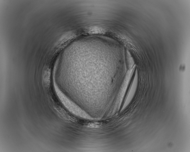 X0000096980550200802291148