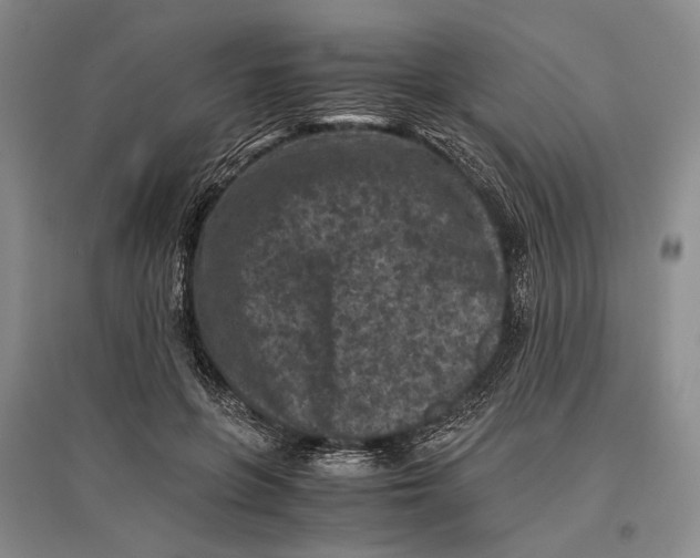 X0000096980551200802291148