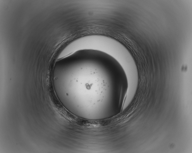 X0000096980552200802291148