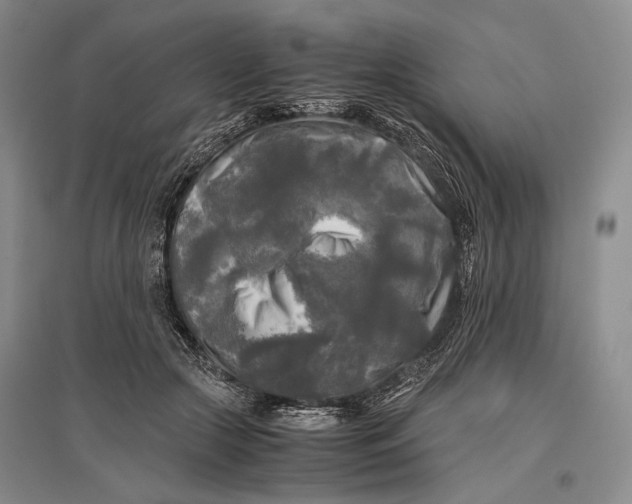 X0000096980553200802291148