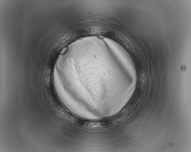 X0000096980554200802291148