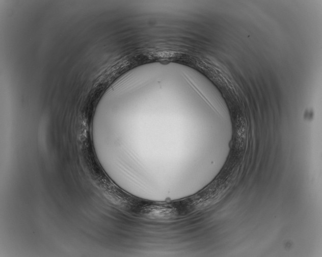 X0000096980555200802291148