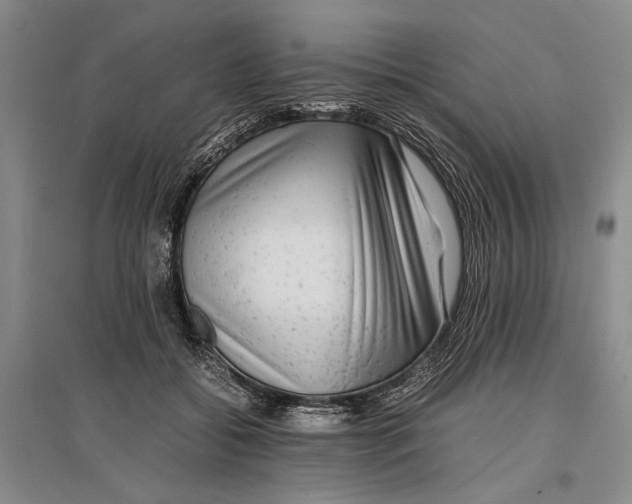 X0000096980556200802291148