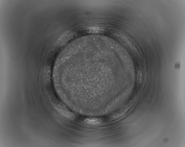 X0000096980557200802291148