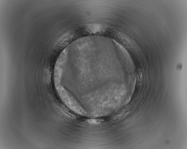 X0000096980558200802291148