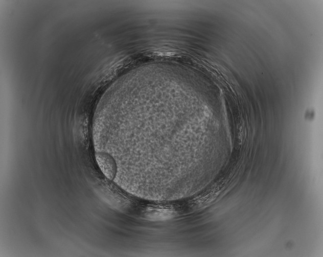 X0000096980559200802291148