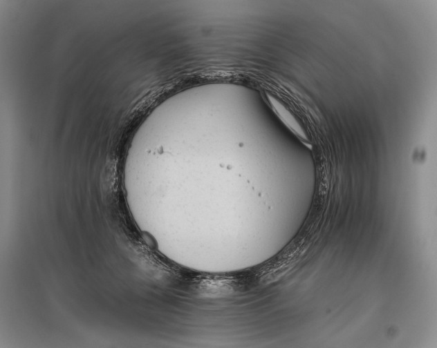 X0000096980560200802291148