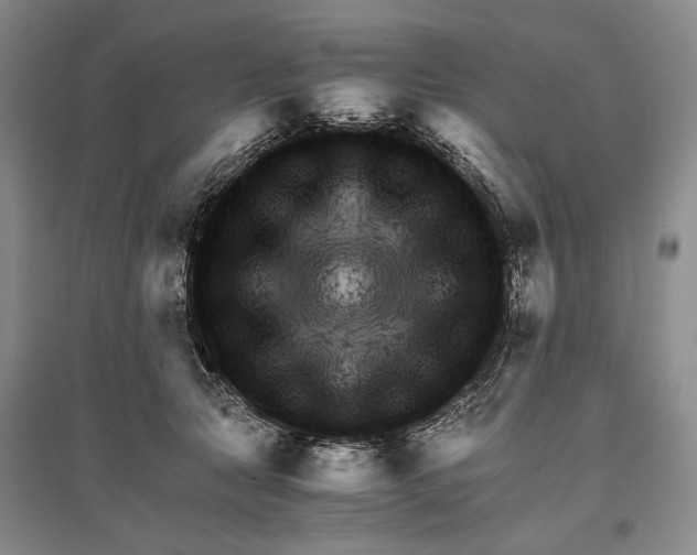 X0000096980561200802291148