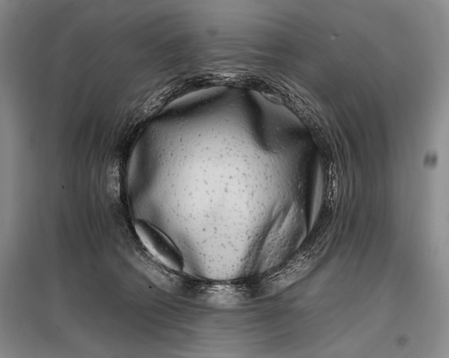 X0000096980562200802291148