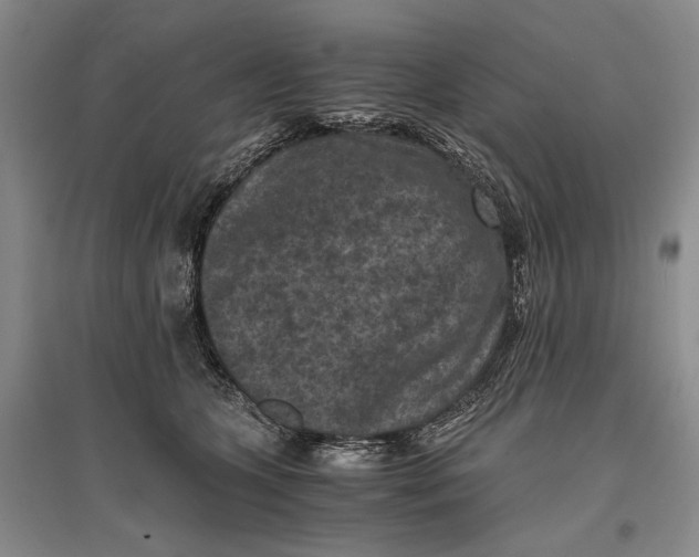 X0000096980563200802291148