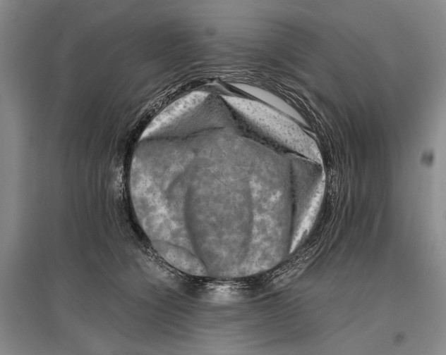 X0000096980564200802291148