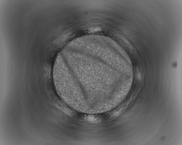 X0000096980565200802291149