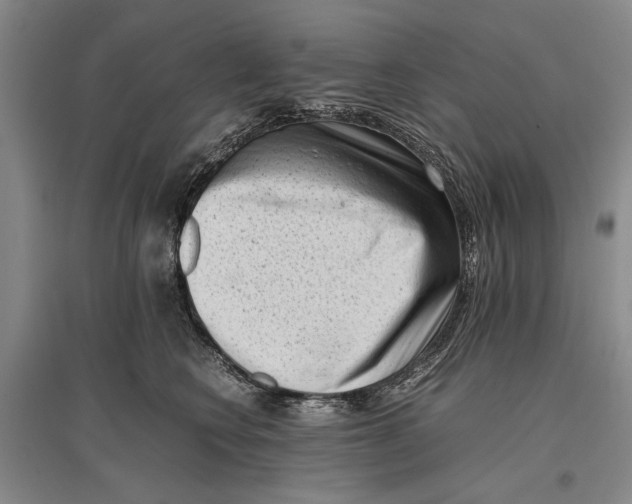 X0000096980566200802291149