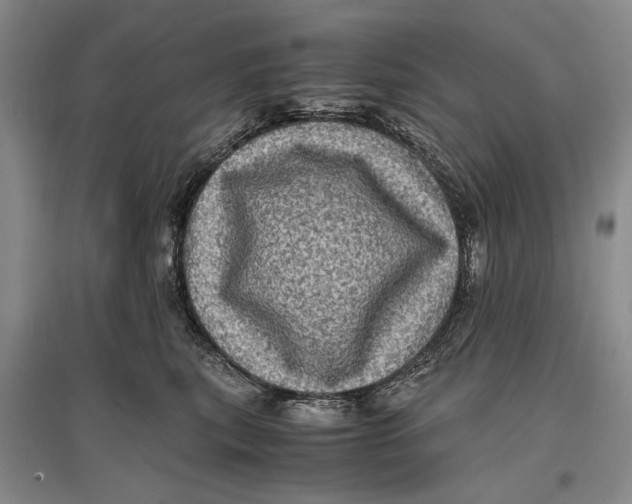 X0000096980567200802291149