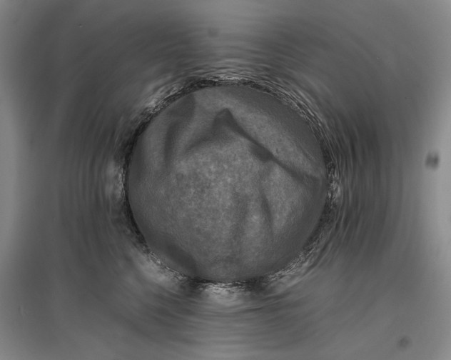 X0000096980568200802291149