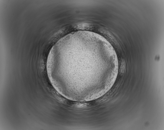 X0000096980569200802291149