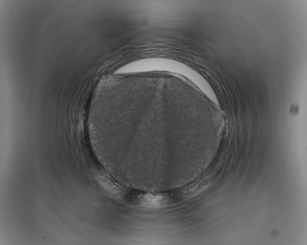 X0000096980570200802291149