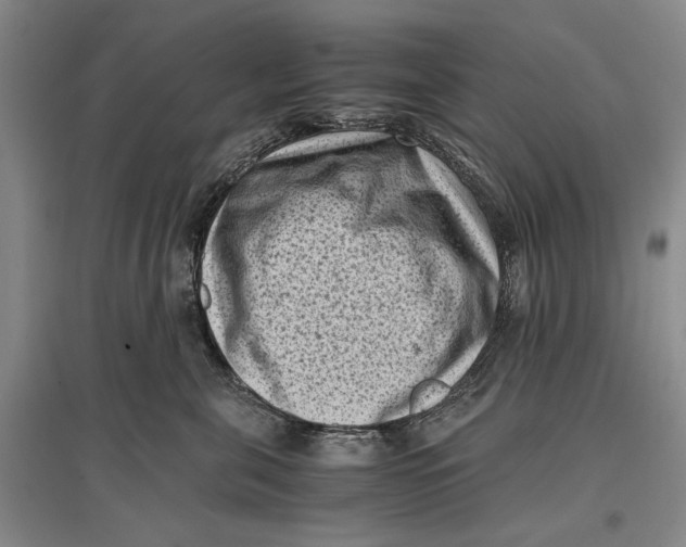 X0000096980571200802291149