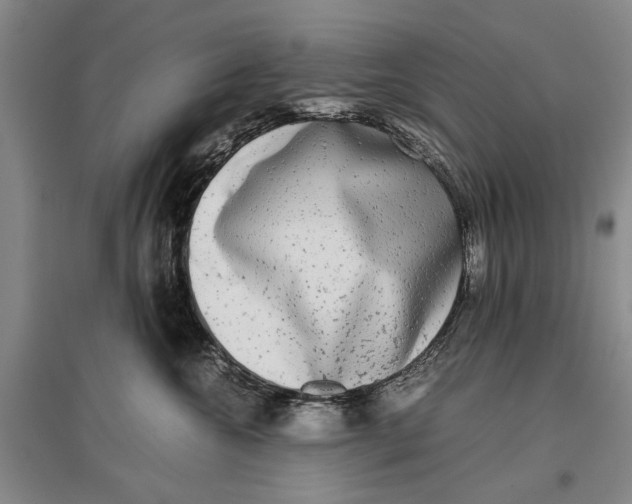 X0000096980572200802291149