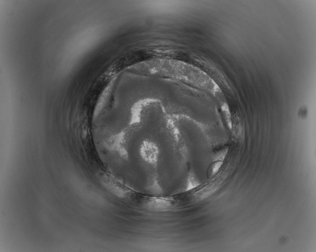 X0000096980573200802291149