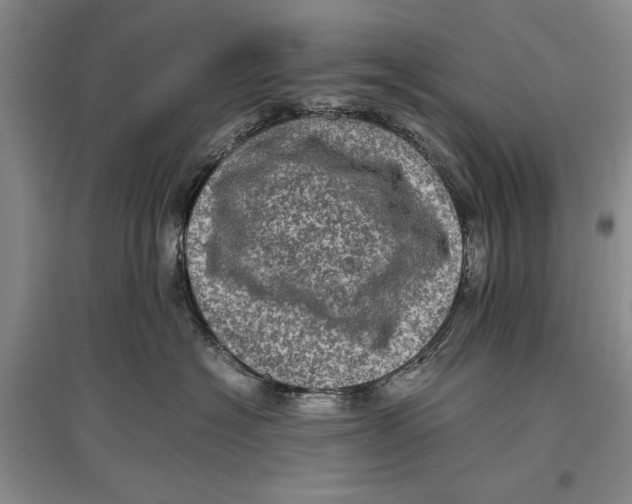 X0000096980574200802291149