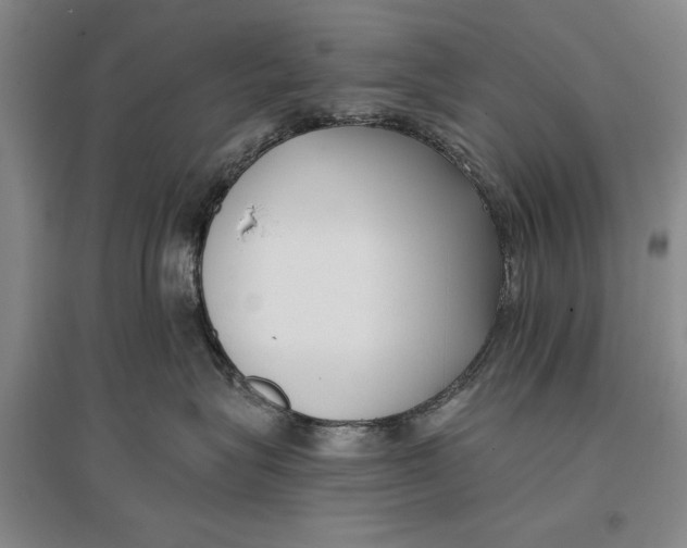 X0000096980575200802291149