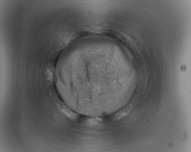 X0000096980576200802291149