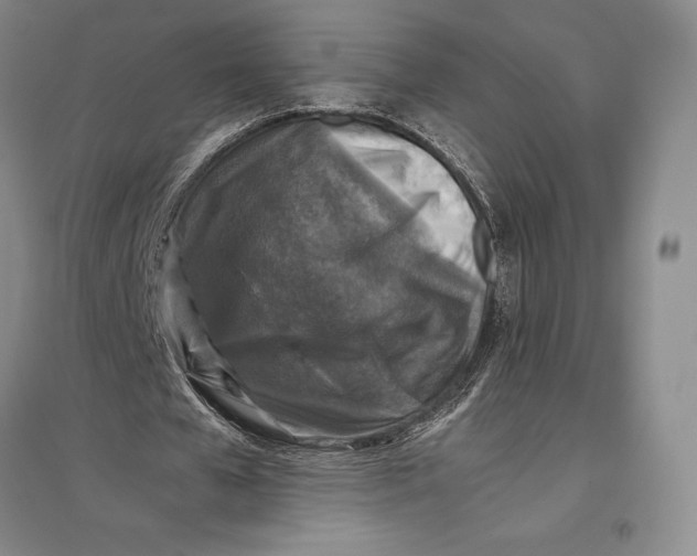 X0000096980577200802291148