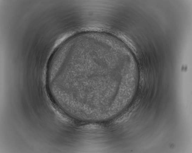 X0000096980578200802291148