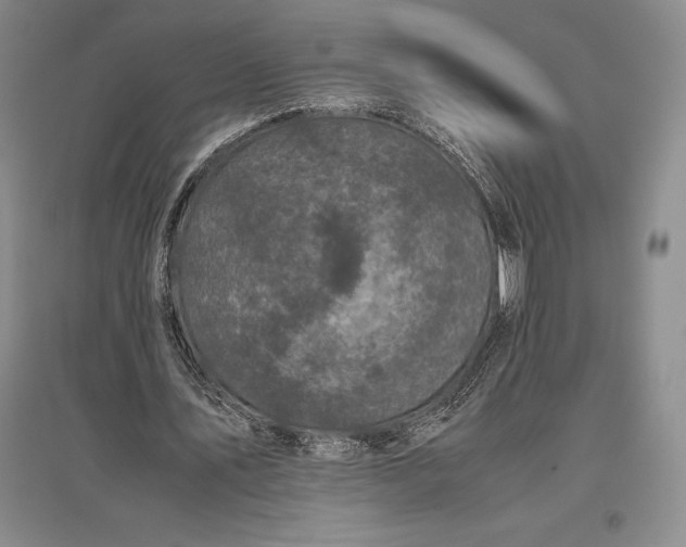 X0000096980579200802291148