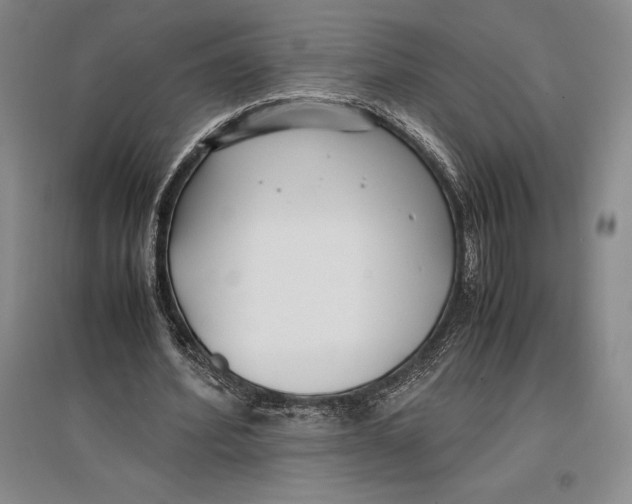 X0000096980580200802291148