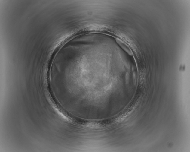 X0000096980581200802291148